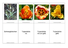 Blumen-Memo-Aufdeckspiel-4.pdf